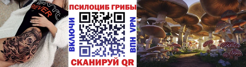 omg ссылка  Лагань  Псилоцибиновые грибы Psilocybine cubensis  что такое  